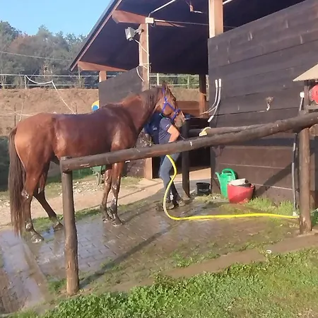 Apartmán La Casa Di Giosy